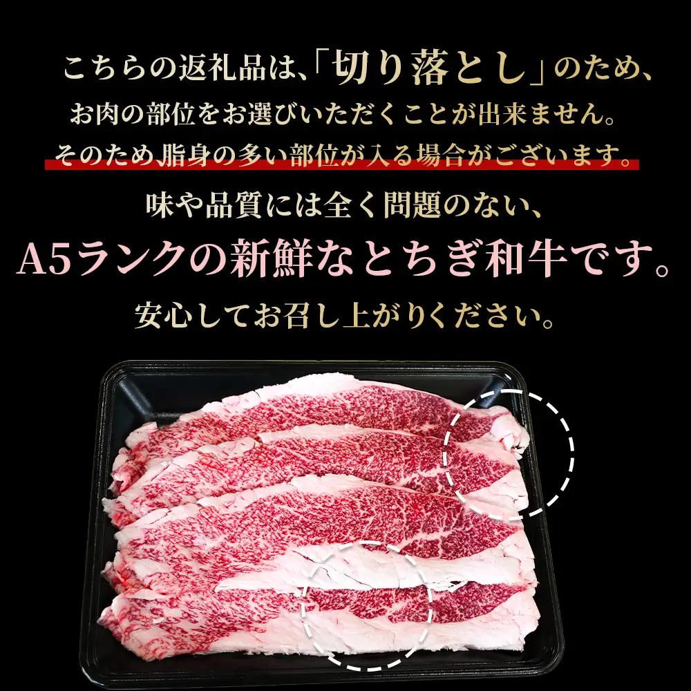 とちぎ和牛 A5 切り落とし 300g【栃木県共通返礼品・栃木県産】 | 牛肉