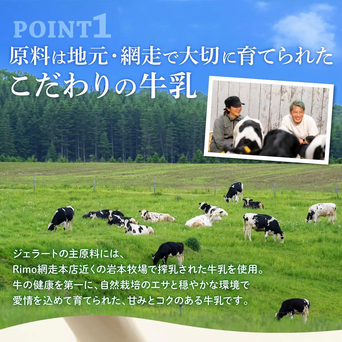 Rimo アイス カップソフトクリーム〈120ml×16個〉 ABA002 | アイス