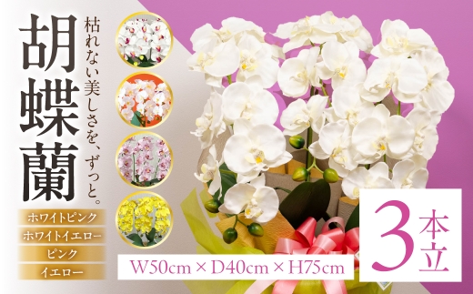 光触媒 造花 胡蝶蘭 3本立 ピンク 蘭 光触媒加工 消臭 抗菌 防汚 空気清浄 インテリア フラワー ギフト 贈り物 祝い お祝い 母の日 観葉植物 アレンジ エフエヌティ 岐阜県 大垣市