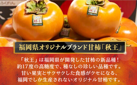 秋王 (あきおう) 柿 3kg 箱 (8-12玉)《豊前市》【南国フルーツ】柿 果物 フルーツ [VBY007]