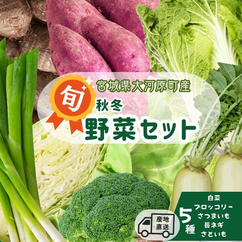 【ふるさと納税】季節の野菜 野菜セットD 5種 白菜 ブロッコリー さつまいも 長ねぎ さといも 詰合せ 季節 旬 野菜 詰め合せ 国産 産地直送 秋野菜 冬野菜 葉物 冷蔵 野菜室　お届け：2025年11月1日～2026年2月28日