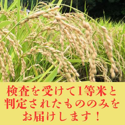 ふるさと納税 豊能町 【令和7年産米】大阪府豊能町産　キヌヒカリ　精米5kg×2　生産者限定米 |  | 02