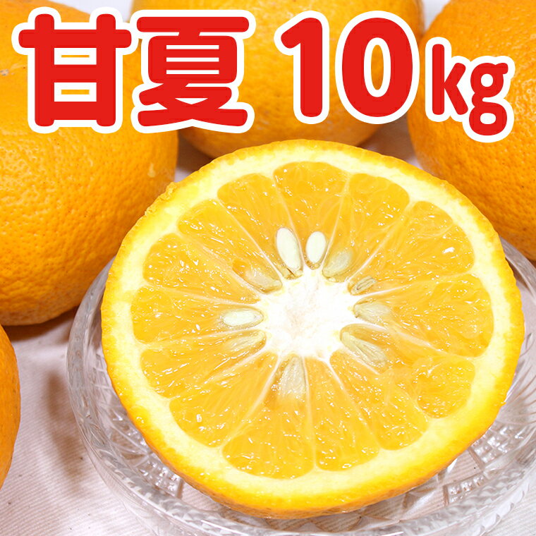 【ふるさと納税】フルーツ 果物 2026年 甘夏 10kg サイズ S M L 混在 柑橘 みかん 期間限定 季節限定 数量限定 庄右衛門 旬 おすすめ サラダ 酢の物 マーマレード ピール ゼリー ジャム ◆2026年5月中旬～5月末発送◆