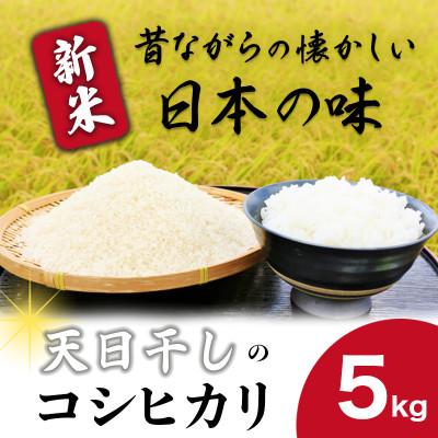 ふるさと納税 城里町 令和7年産コシヒカリ精米5kg 昔ながらの天日干し