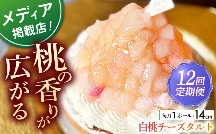 
【全12回定期便】白桃チーズタルト1ホール(14cm)【心優　－Cotoyu Sweets－】 [KAA529]
