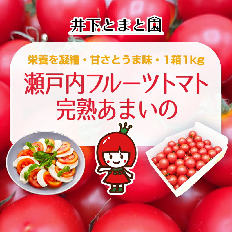 【ふるさと納税】井下とまと園の完熟 フルーツトマト 約1kg 果物類 野菜 　お届け：2025年12月下旬～2026年6月下旬