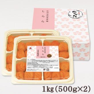 【紀州産南高梅】しらら 1kg