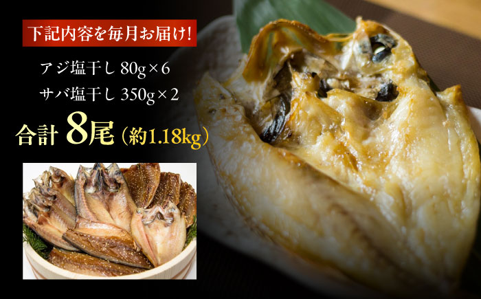 【12回定期便】【M】一夜干し 塩干し（アジ/サバ）計8尾 五島市/愛情食彩[PCH020]