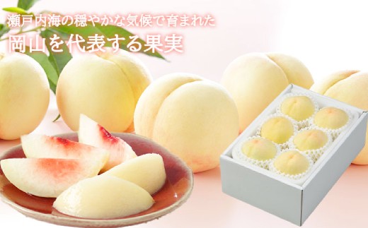岡山白桃 ロイヤル 4～6玉 計約1kg