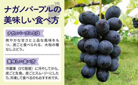 【東御こもだ果樹園】家庭用ナガノパープル４kg（９〜１６房）農薬節減長野県認証