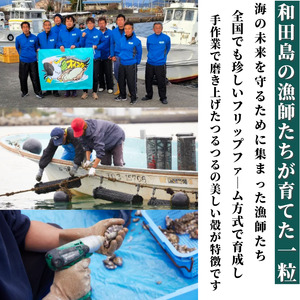 牡蠣 12個 計480g～600g 生食用 殻付きかき