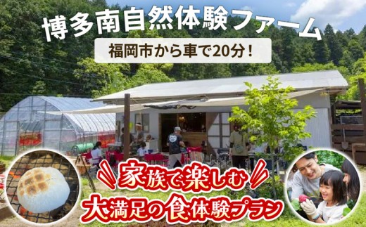 【年末年始特別プラン】餅つき＆野菜収穫体験（1組10名）