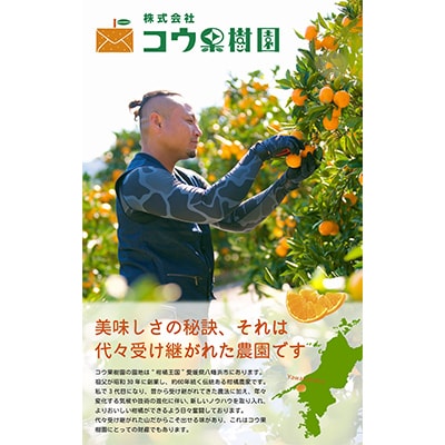 コウ果樹園「しらぬい」たっぷり5kg【C33−23】【1052369】