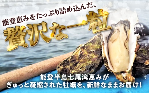 【能登半島地震復興支援】魚介類 牡蠣　/ 能登かき 殻付 牡蠣 約3.5kg（約30個）専用ナイフ・片手用軍手付 石川県 七尾市 能登 ※加熱用 ※2026年1月下旬～5月下旬頃に順次発送予定 ※離島