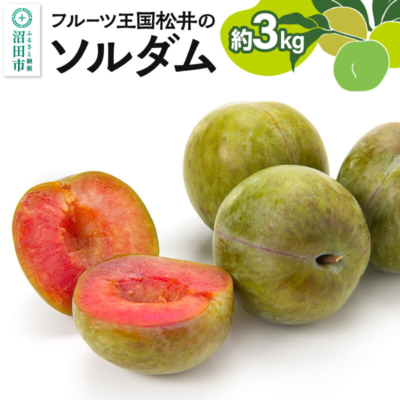 【ふるさと納税】《7月下旬〜8月上旬にお届け》 プラム「ソルダム」約3kg フルーツ王国松井 [夏の味覚 夏の果物 夏のフルーツ すもも スモモ sumomo ぷらむ プラム 旬物]