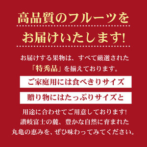 フルーツ定期便 12回 満足パック フルーツ 定期便