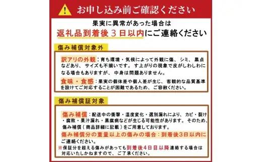  訳あり 河内晩柑 5kg 小玉 2S M サイズミックス お試し 家庭用 愛南町 清家ばんかんビレッジ
