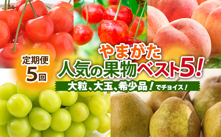 
                  【定期便5回】やまがた人気の果物ベスト5！大粒、大玉、希少品！でチョイス！ 【令和8年産先行予約】FS24-782 くだもの 果物 フルーツ 山形 山形県 山形市 2026年産
                