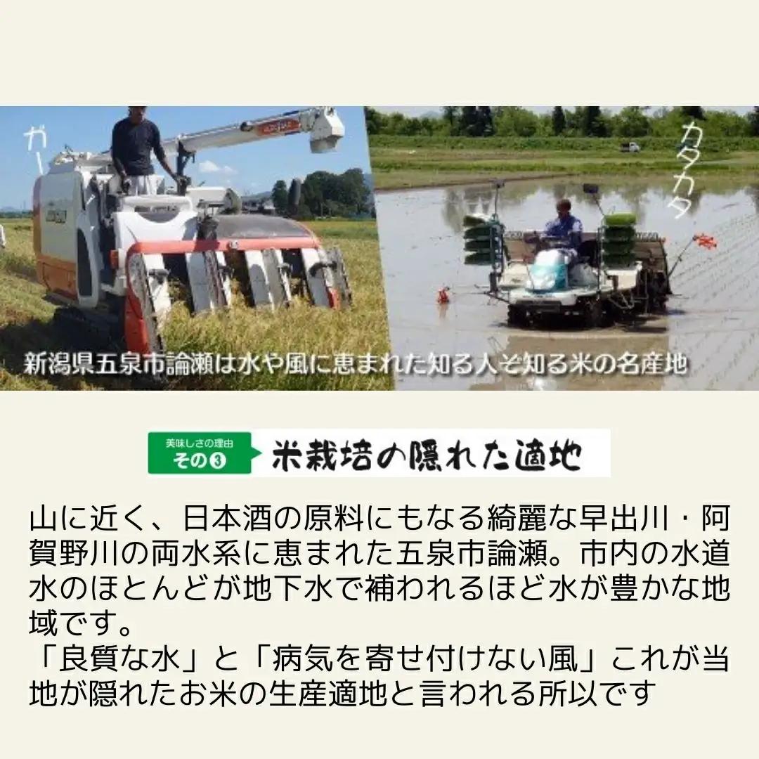 【先行予約】令和8年産 コシヒカリ5kg×1袋 新之助5kg×1袋 わくわく農場 | コシヒカリ 白米 米 新潟県産 五泉市