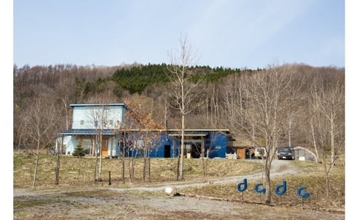 LPジャケットフレーム　カラー：グリーン