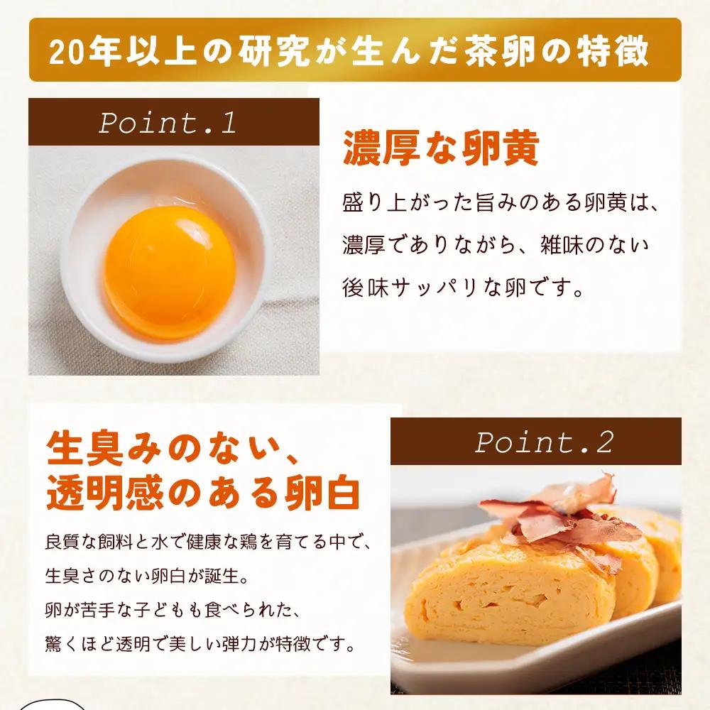 たまご コロンブスの茶卵 6個入×5P 卵が苦手な子どもも食べられた！ kl-0004