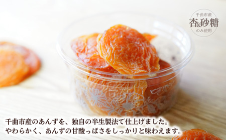 酸味とおいしさそのまま ドライ杏 (半生) 3個|あんず あんず