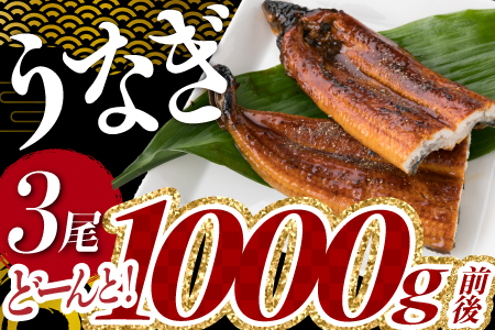 A1526.《7/26丑の日までにお届け！！》うなぎの蒲焼３尾（計１，０００ｇ前後）