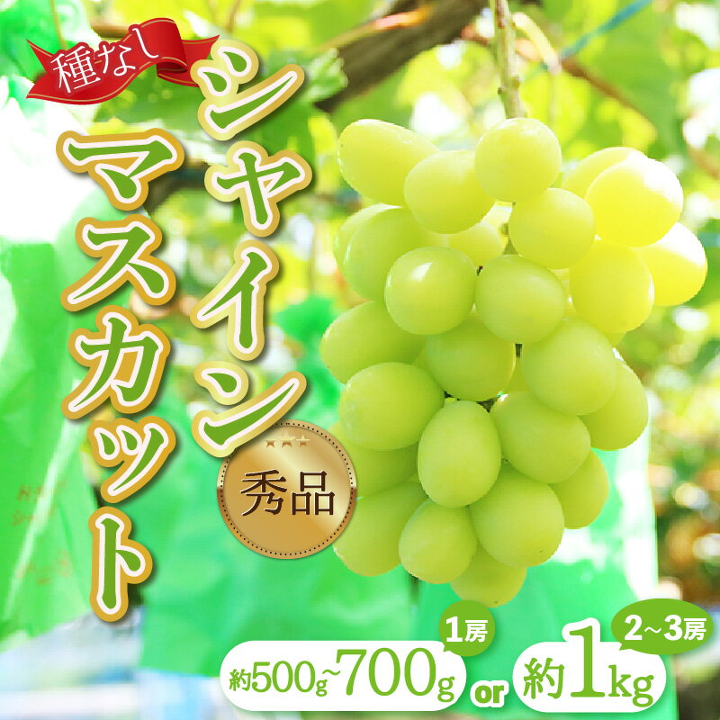 【ふるさと納税】【先行予約】【種なし】【朝採れ】【秀品】上野梨園のシャインマスカット【選べる容量：500～700g / 1kg 】 / ぶどう フルーツ 果物 くだもの 贈答 お土産 旬 皮ごと食べる 美容 ぶどう狩り 巨峰に負けない 甘い 大粒 新鮮 厳選※2025年9月上旬より順次発送
