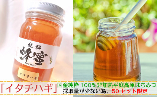 
                  【希少】「はちみつ イタチハギ 300ｇ」国産 純粋 非加熱 無加糖 無添加 はちみつ 蜂蜜 ハニー クロバナエンジュ 瓶 人気 おすすめ 保存食 お取り寄せ 贈答 ギフト送料無料 岩手 久慈
                
