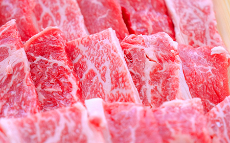 土佐あかうし【和牛肩ロース／焼肉用】約500g 和牛 高級 贈り物 贈答用 お歳暮 お中元 赤牛 ブランド牛 赤身 脂 さっぱり 年末 年始 高知県 南国市