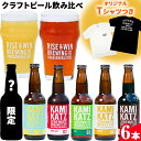 【ふるさと納税】 KAMIKATZBEER ブリュワーズセレクト 6本 と Tシャツ セット RISE＆WIN 《30日以内に出荷予定(土日祝除く)》｜ 金賞受賞 ビール クラフトビール カミカツビール 上勝ビール 酒 お酒 6種 プレゼント ギフト 記念日 株式会社スペック 徳島県 上勝町 送料無料