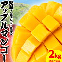 【ふるさと納税】要マンゴー農園の完熟アップルマンゴー　2kg　4玉～6玉【2025年発送】　アップルマンゴー　希少　アーウィン　甘い　完熟　爽やか　マンゴー　沖縄　うるま市　太陽　南国