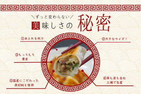 【定期便＿3ヶ月】【訳あり】肉汁溢れる冷凍肉餃子：8パック（計24パック） 餃子 ぎょうざ 冷凍餃子 肉餃子 豚肉 国産豚肉使用 冷凍生餃子 定期便