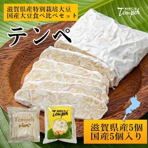 ルストテンペ(滋賀県産特別栽培大豆使用)5個と(国産大豆使用)5個のセット テンペ テンペ テンペ