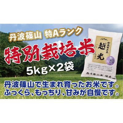 ふるさと納税 丹波篠山市 丹波篠山産　特Aランク　特別栽培米　越光(5kg×2袋　精米)