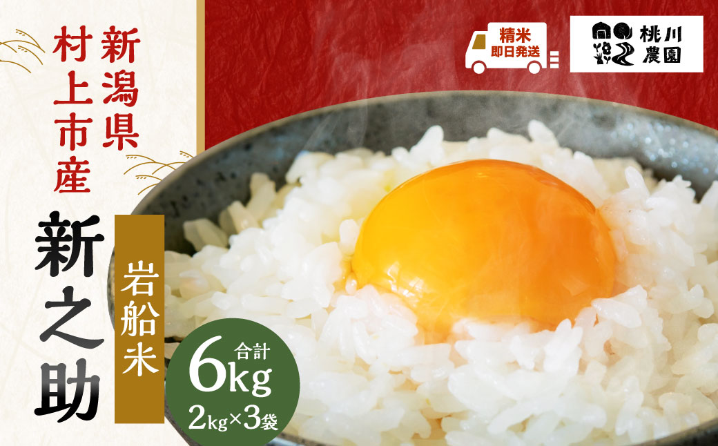 A4100 【精米即日発送・令和7年産米】新潟県村上市産  新之助 6kg