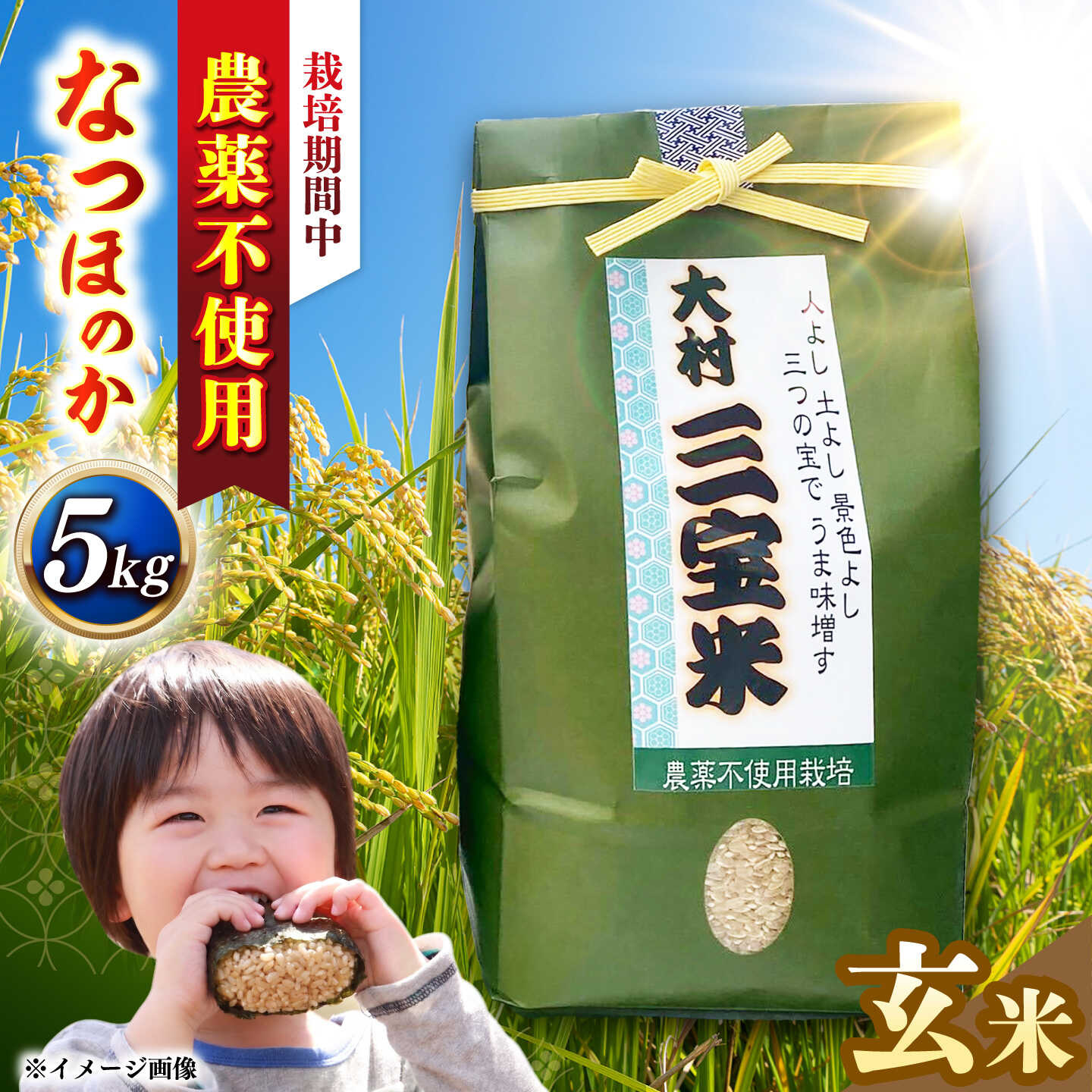 【ふるさと納税】【栽培期間中農薬不使用】R8年度米 玄米 なつほのか 5kg 大村市 たぬき池自然農園/ 米 玄米 5kg[ACCJ001]