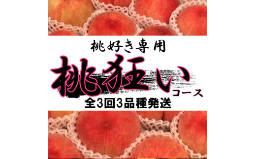 ＜2025年発送分先行予約＞山梨県南アルプス市産　桃狂い　【旬の桃3種】　旬を迎えた順から発送　【定期便　約1ｋｇ　全3回】 ALPAH022