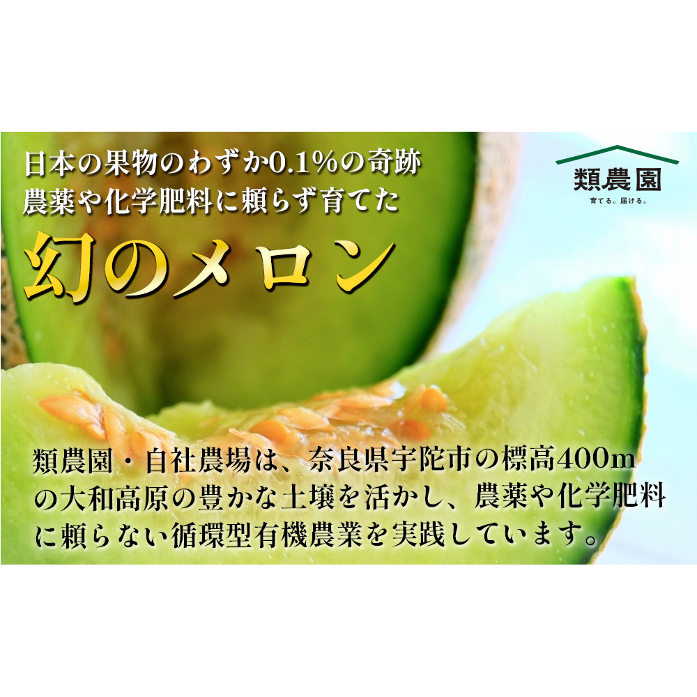 【期間限定】有機メロン「あま玉」1玉 Lサイズ 1.4kg～【R8年7月15日より順次発送】