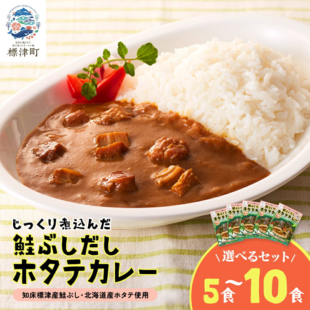 【ふるさと納税】鮭ぶしだしホタテカレー　ほたて 帆立 かれー レトルト 人気 おすすめ　5食セット/10食セット【G1271064】