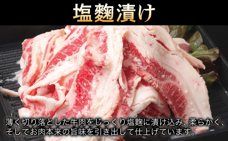 牛肉 切り落とし タレ漬け+塩麹漬け 合計1kg（250g×各2袋） 【味付け 小分け 焼くだけ 簡単調理 BBQ 牛肉 250g×4袋】 010B1670_イメージ4