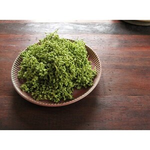 熊野牛　赤身スライス　すき焼き、しゃぶしゃぶ　700g(粉山椒付)【日高町】【配送不可地域：離島】【1220268】