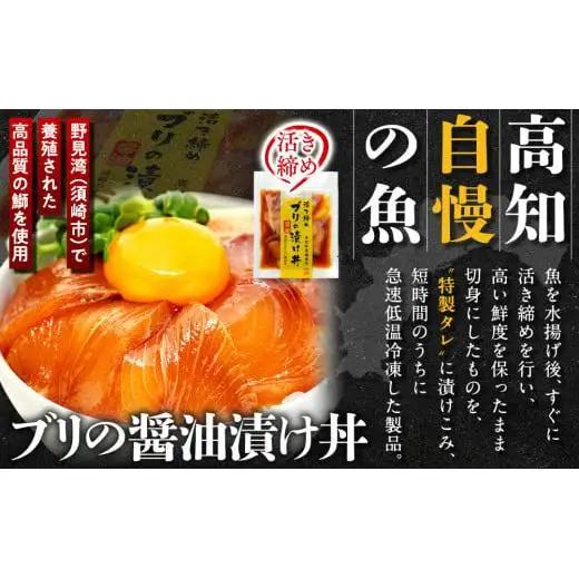 【ふるなびWEEK対象】【 海鮮丼 】 海鮮丼 5種 2p