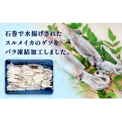 ふるさと納税 石巻市 石巻市産スルメイカゲソ3kg 冷凍 国産 スルメイカ いか イカ イカゲソ ゲソ天 バラ冷凍 宮城県 |  | 01