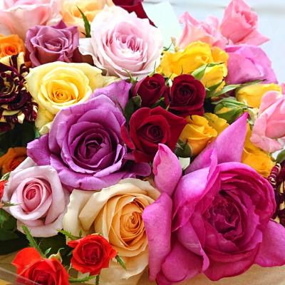 ふるさと納税 杵築市 『天使のバラ』薔薇だけの自立型花束(色MIX)Sサイズ |  | 03