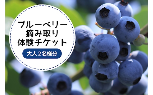 
										
										ブルーベリー狩り体験チケット（大人2名様分） 9-Q
									