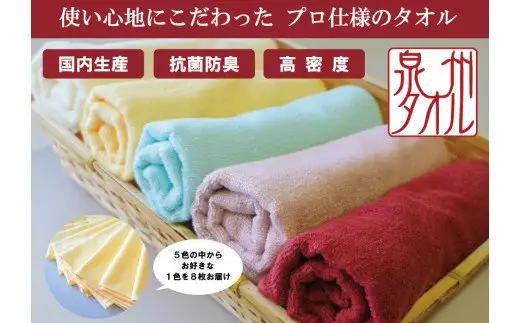 泉州タオル 無蛍光抗菌カラータオル 選べる1色 8枚入り 240匁(オフホワイト)7401-1