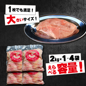 低カロリー＆高タンパク♪国産むね肉 チルド 6kg 鶏肉 むね肉 冷蔵 国産 チルド 新鮮