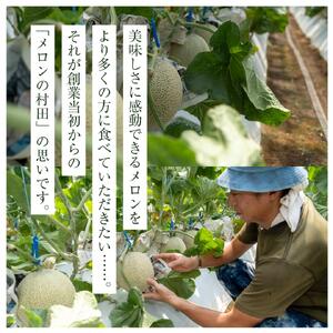 【2026年7月～発送】 アールスメロン 約2kg~2.5kg 1玉入 マスクメロン