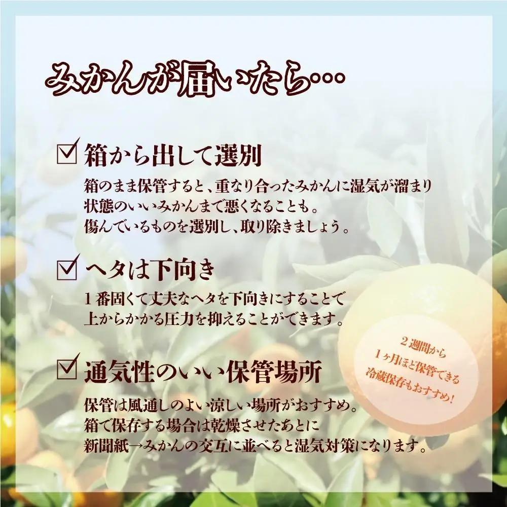 【訳あり】和歌山みかん約9.5kg+補償分約500g サイズ混合 11月より順次発送 訳ありみかん 【red1】